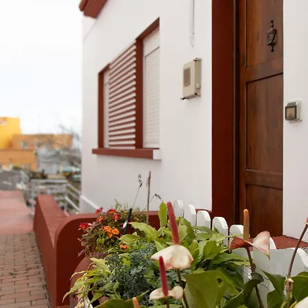 Brisa Atlantica Nieves Santa Cruz de la Palma (Isla de la Palma)